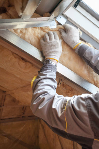 Best Insulation Maintenance and Repair in Essex Junction, VT