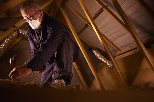 Best Residential Insulation in Essex Junction, VT